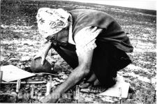 pgm0229  Maria Reiche measuring on the Nasca desert in the early 1980s