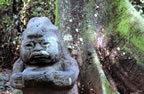 Olmec