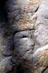 Olmec