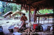 fgga0029 cleaning manioc