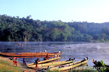 fgga0122 'pirogues' - canoes on River Maroni