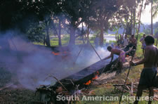 fgga0245 drying a freshly cut canoe